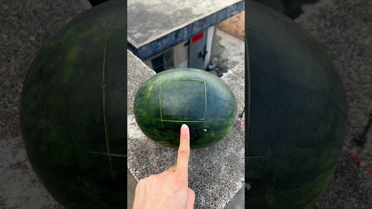 Experiment: Will a watermelon explode if it rolls down from a tall building? 🍉💥 #watermelon