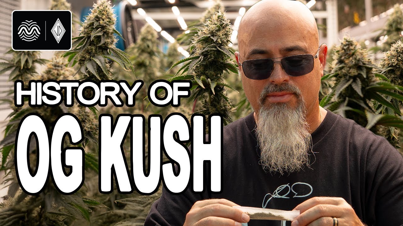 RYTHM x Josh D: The OG Kush Legacy | Cultivating Icons, Crafting Flow