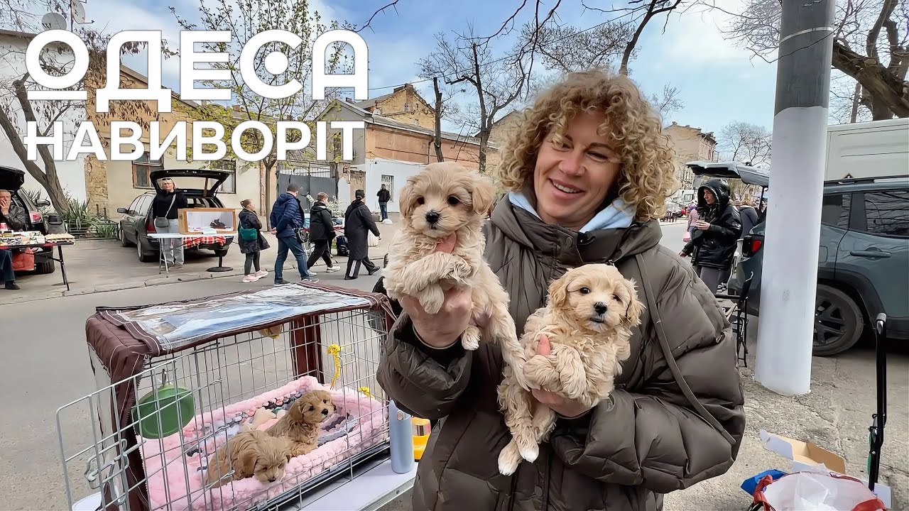 Староконный Рынок НАИЗНАНКУ! ПРАЗДНИЧНЫЕ ЦЕНЫ на ДОМАШНИХ ЖИВОТНЫХ! Собачий Базар Одесса!