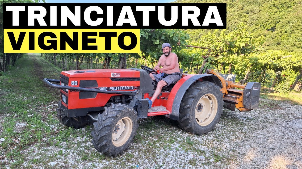 Nei vigneti della Valpolicella con il SAME FRUTTETO 60