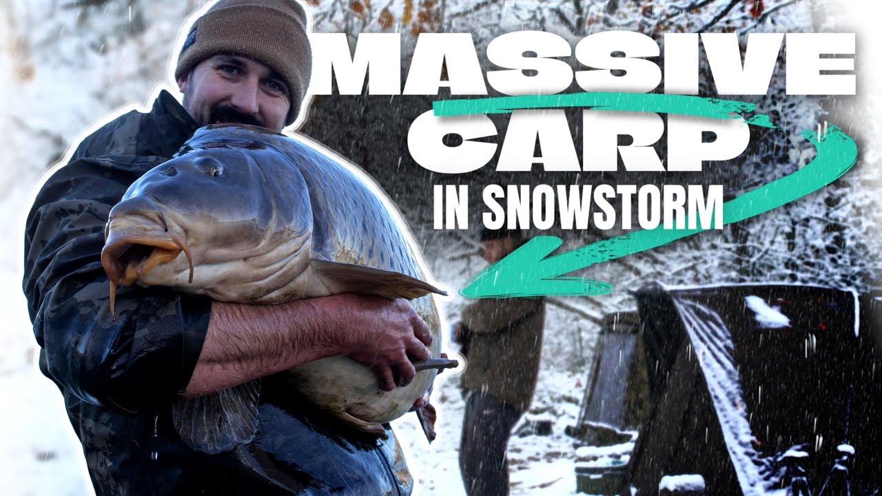 Massive carp in snowstorm 🐋 Karpfenangeln im kalten Wasser. ❄️🏴‍☠️