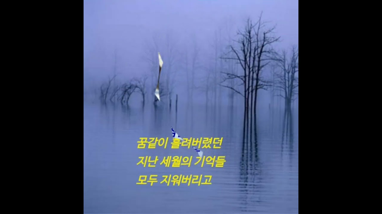 눈꽃 세상을 바라보며