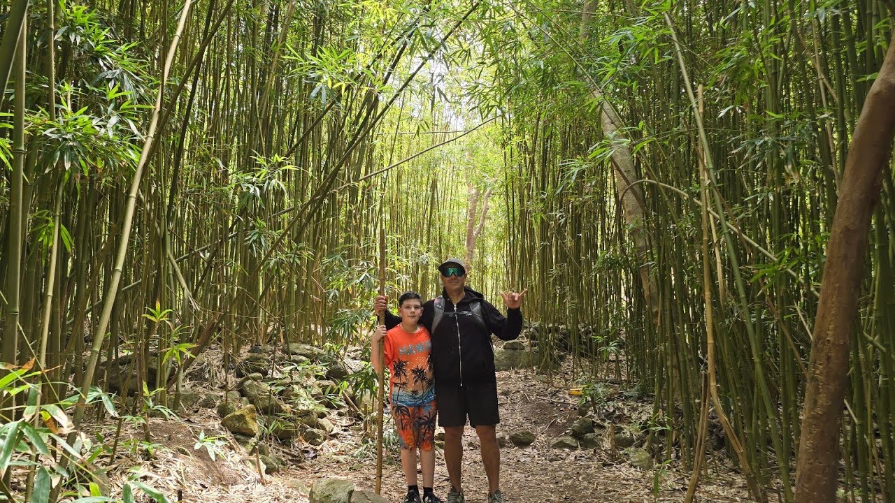 Maui Adventures / Carnival Hawaii Cruise 