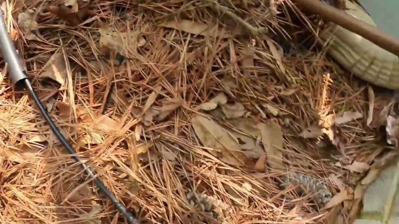 Using the Short Pro Tool to locate a short.