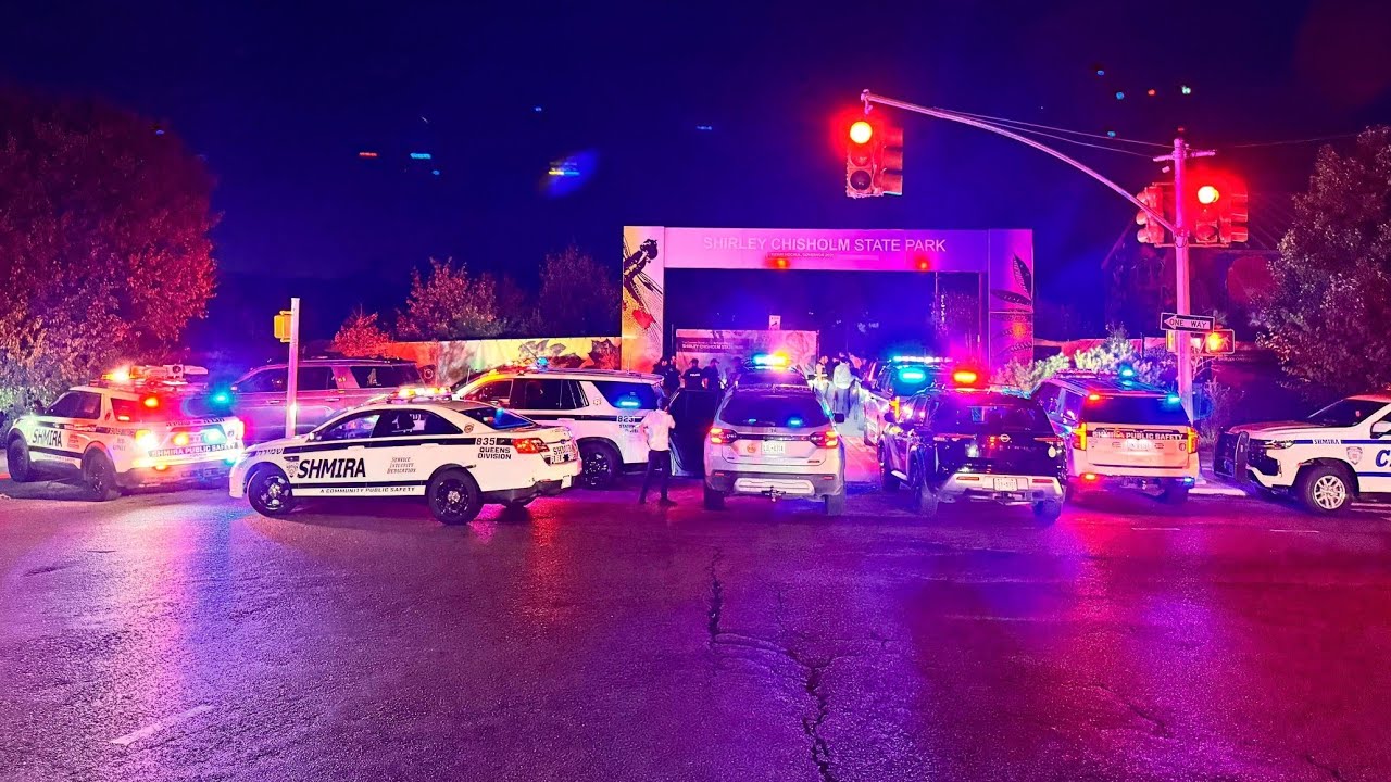 FOOTAGE FROM THE MISSING PERSON SEARCH IN BROOKLYN (*READ DESCRIPTION*)