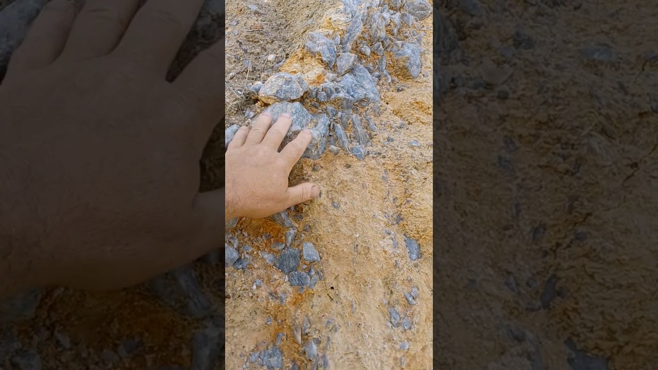 discovery of a gold vein 👌