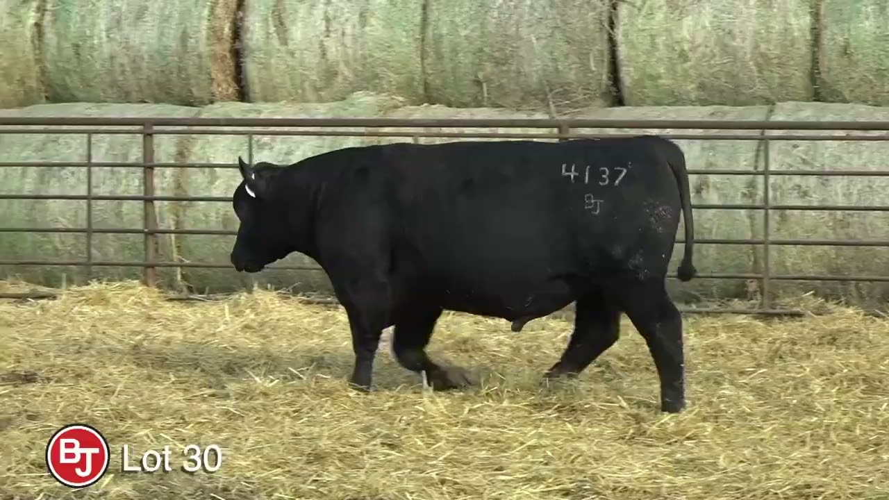 Lot 30, BJ Fireside 4137