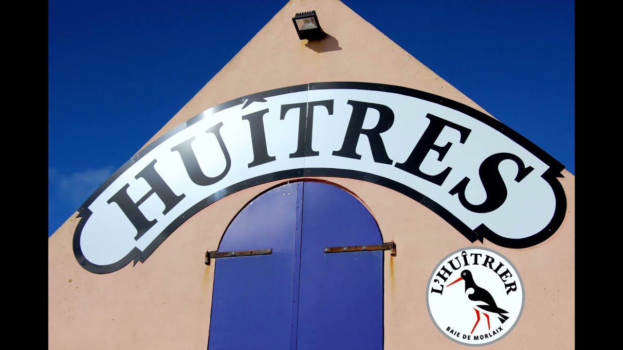 L'Huîtrier