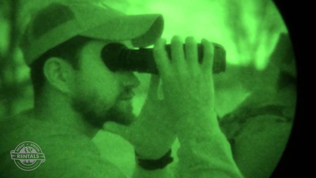 Night Vision Rentals Coyote Hunt