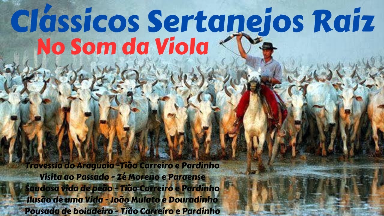 Cl&aacute;ssicos Sertanejos Raiz (7)