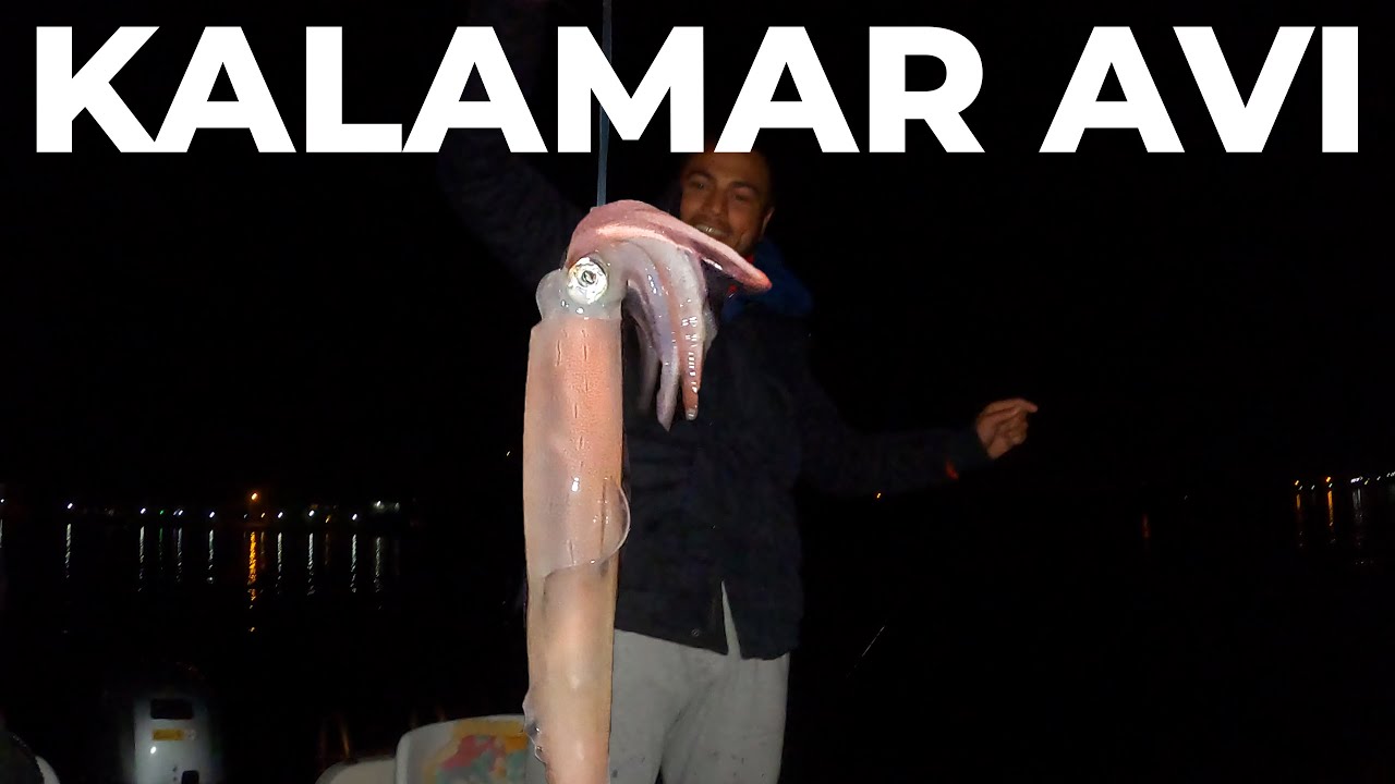 GECE DEV KALAMARLAR YAKALADIK - Tekneyle Kalamar Avı Vlog - 27