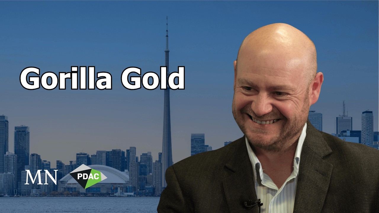 Gorilla Gold: бурение на 150 км в 2026 году – цель – высококачественное месторождение с запасами ...