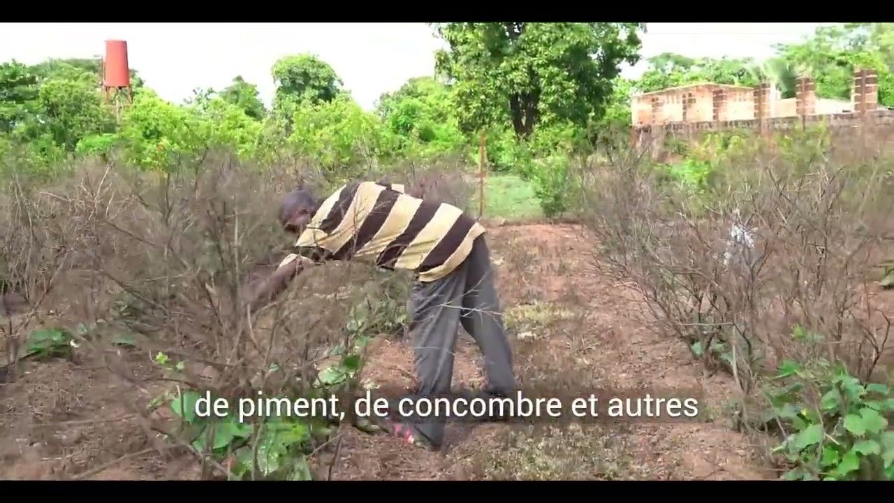 La Ferme Agricole Traoré - l’agrobusiness par excellence | FACEJ