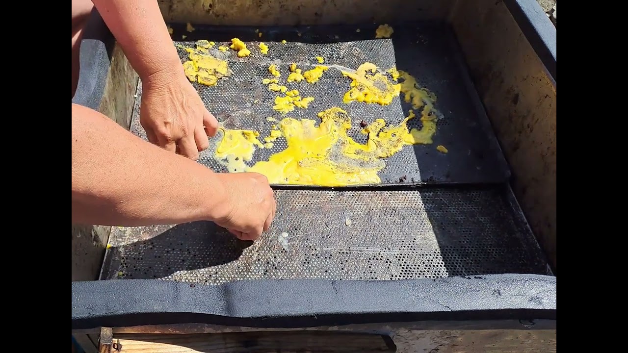 Topitor pentru ceară  solar. 3 .07.2023