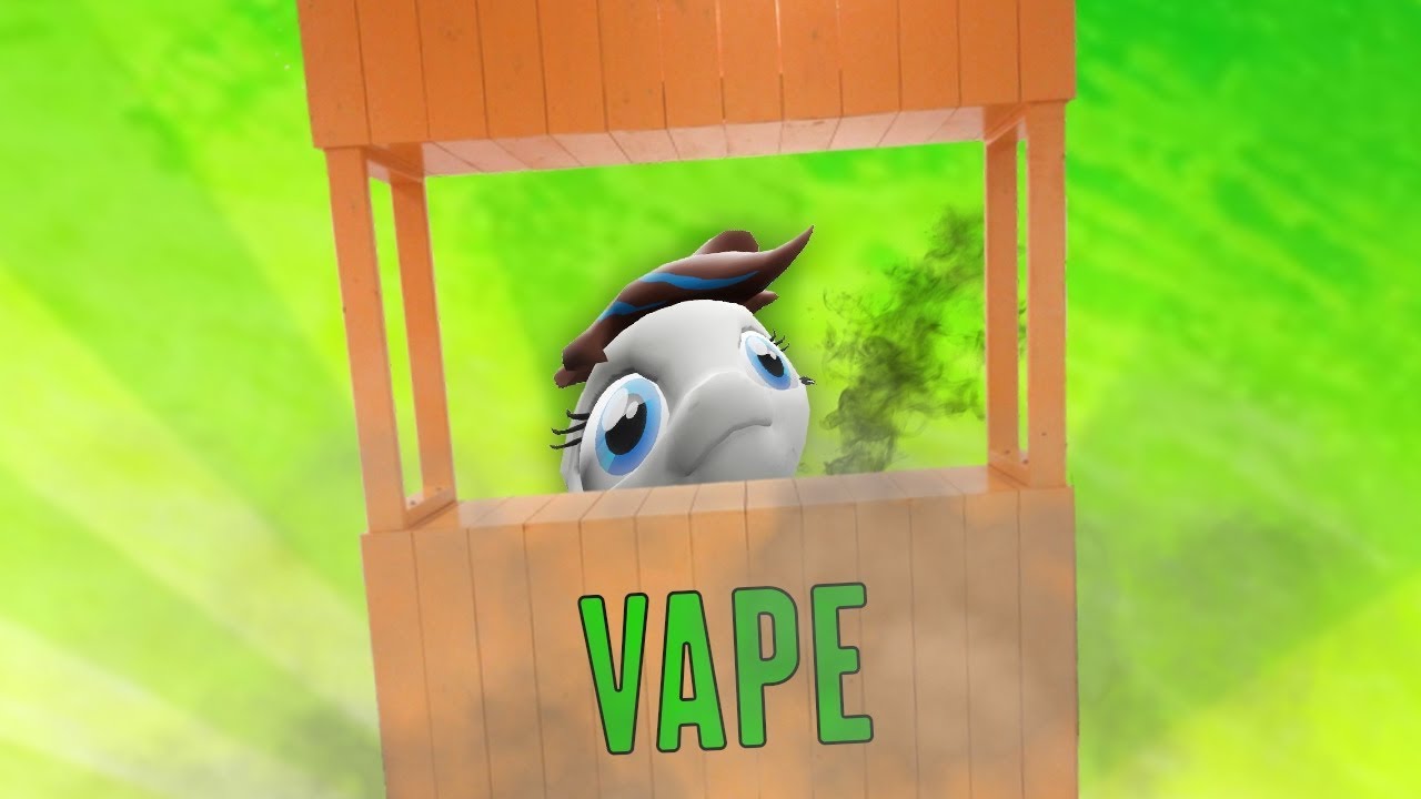 THE VAPE STAND