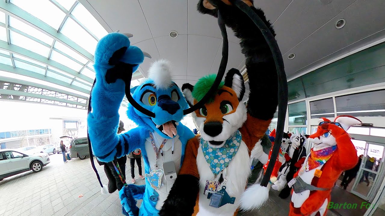 Anthro New England 2024 (ANE 2024) - Random Clips