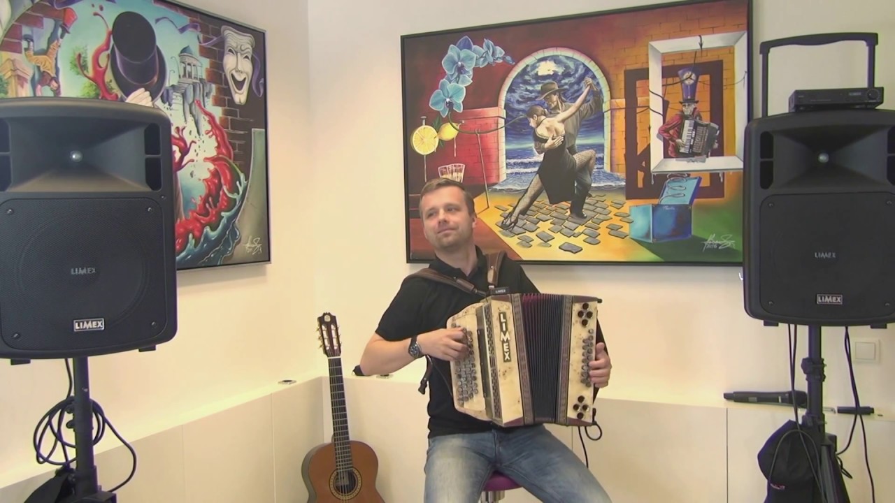Limex Soundmodul G5 mit Elektronische Harmonika EL HA 1p