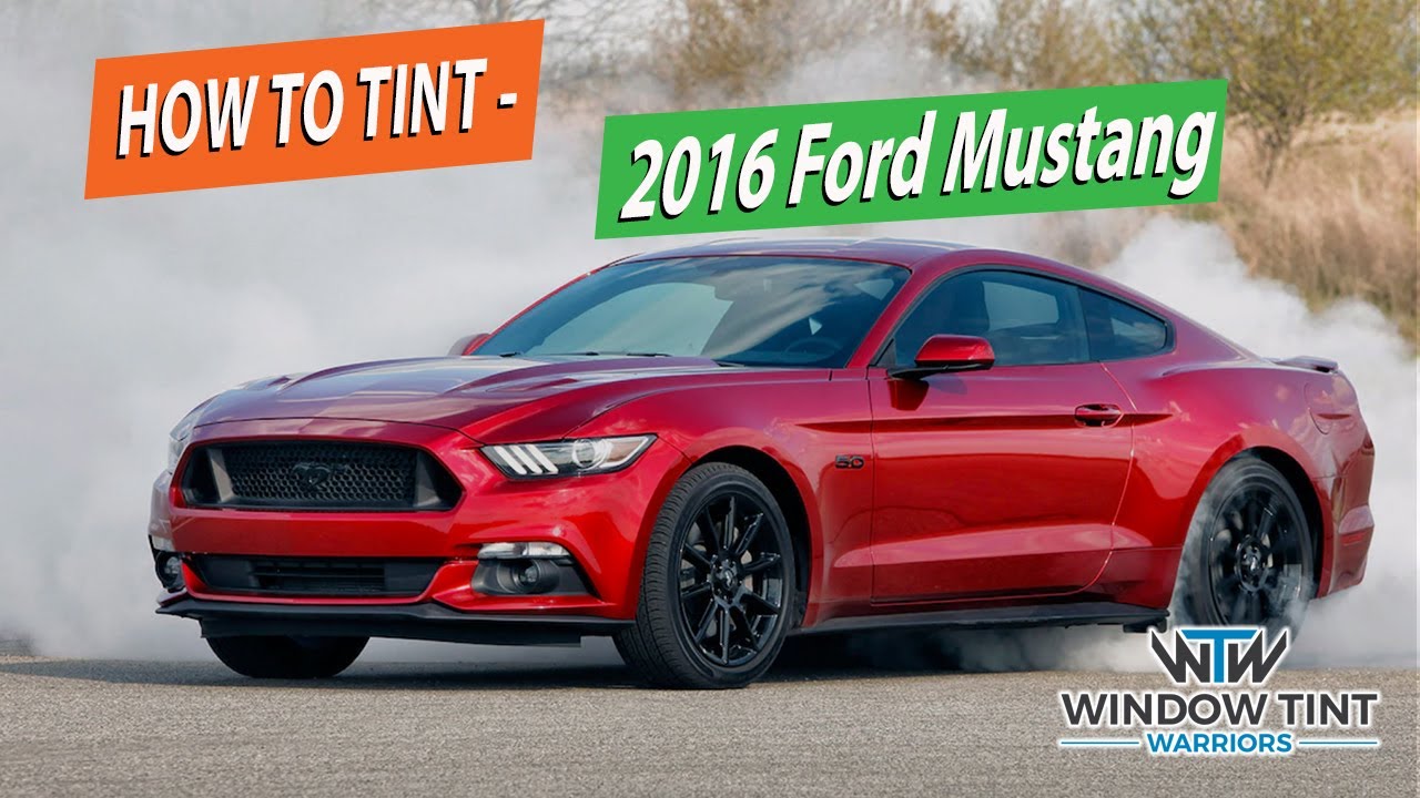 How To Tint Mustang Frameless Door windows - 2016 Ford Mustang