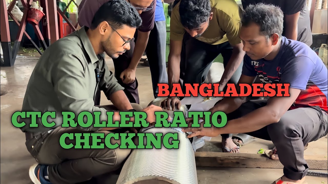 Bangladesh Tea Factory Roller Ratio Checking |CTC Roller Setup