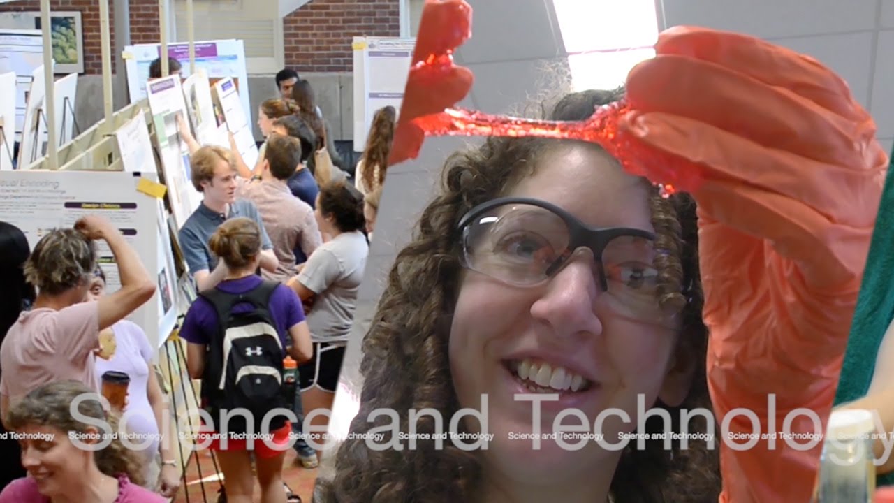 Science and Technology: Ideas and Inquiry
