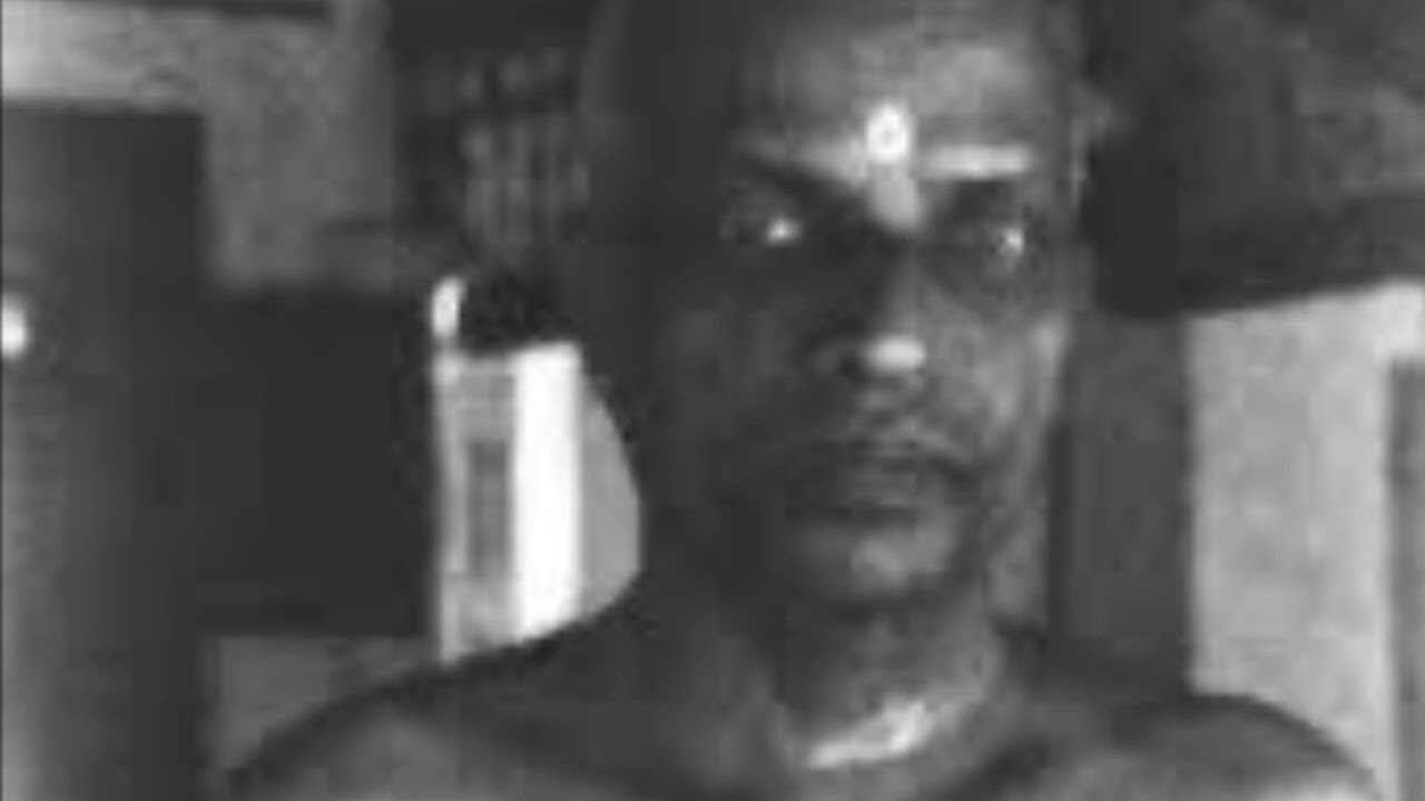 Атмананда Кришна Менон 