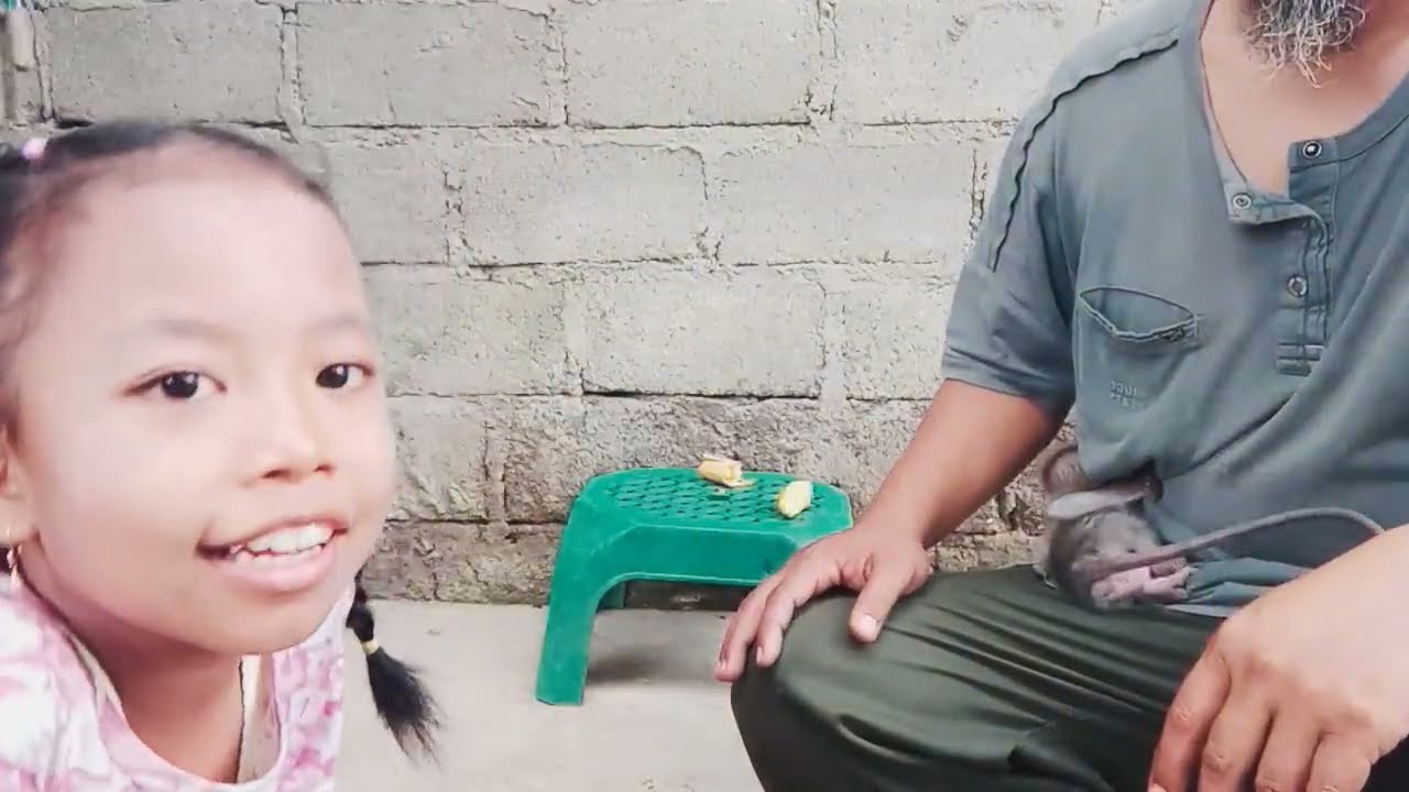 17 Februari 2026 menghindari anak- anak dan Kejaran pipy