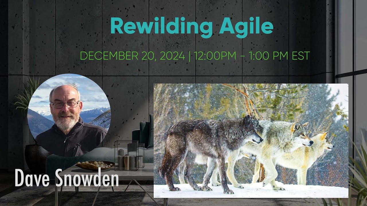 Dave Snowden - Rewilding Agile - Agile to agility