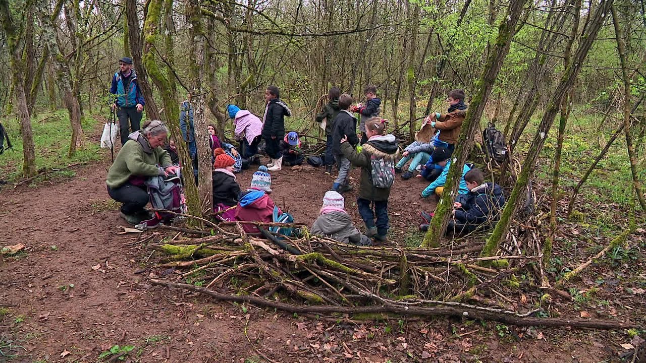L'école dans la forêt, c'est classe!