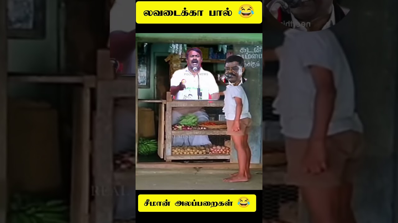பனம்பால் தென்னம் பால் லவடைக்காபால் #song #seemantroll #seeman #seemanspeech