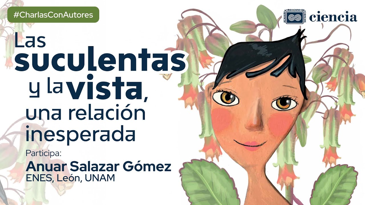 Las suculentas y la vista, una relación inesperada
