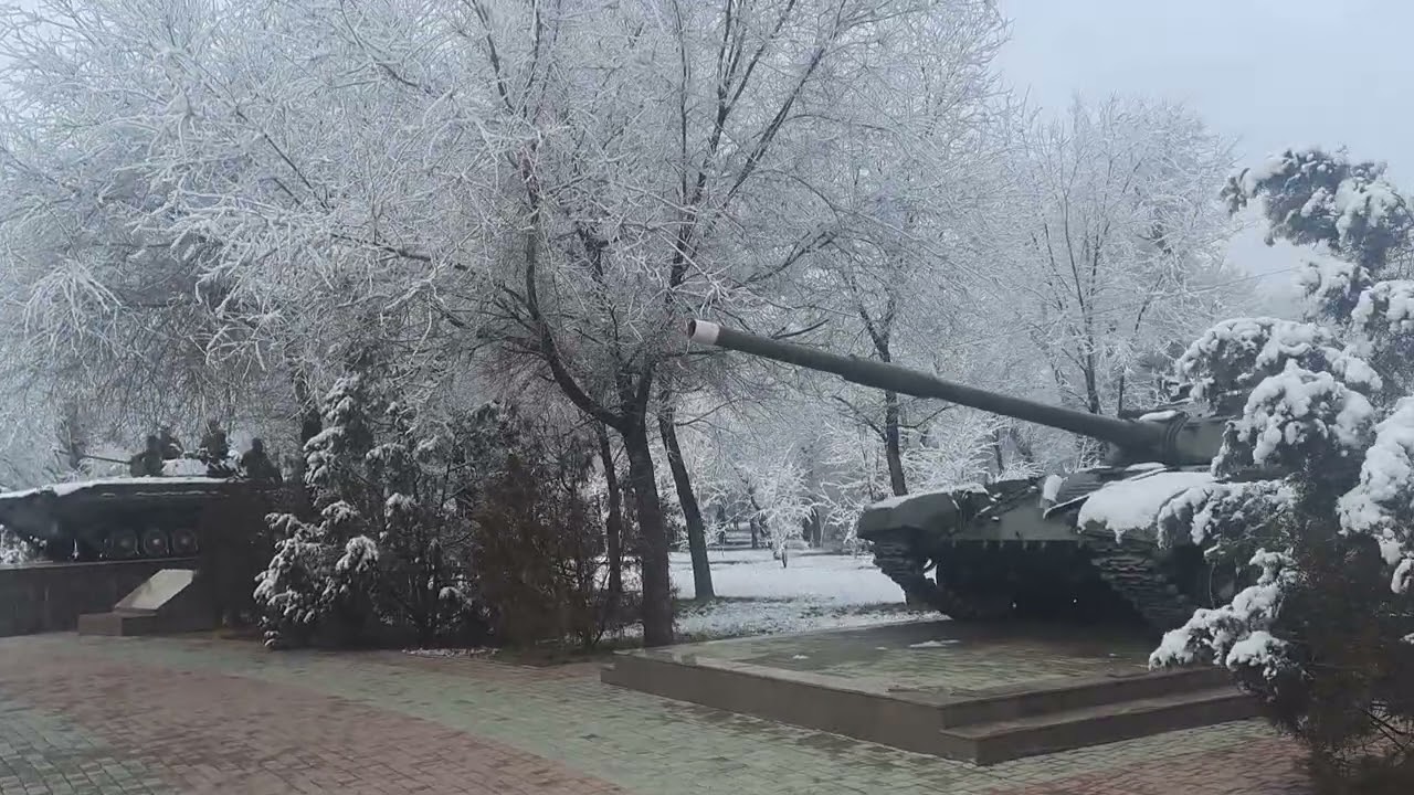 11 февраля 2026 г.