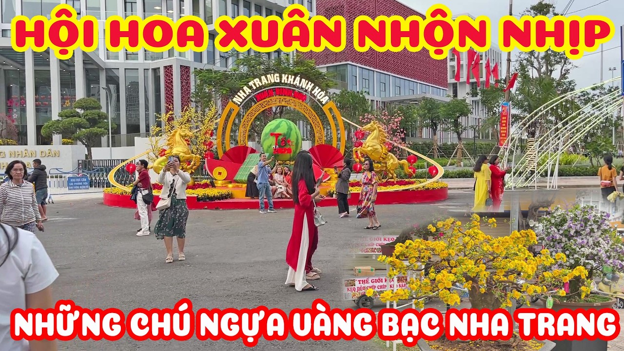 CHỢ HOA TẾT PHÍA BẮC NHA TRANG - HỘI HOA XUÂN NHỘN NHỊP CHIỀU 26 TẾT