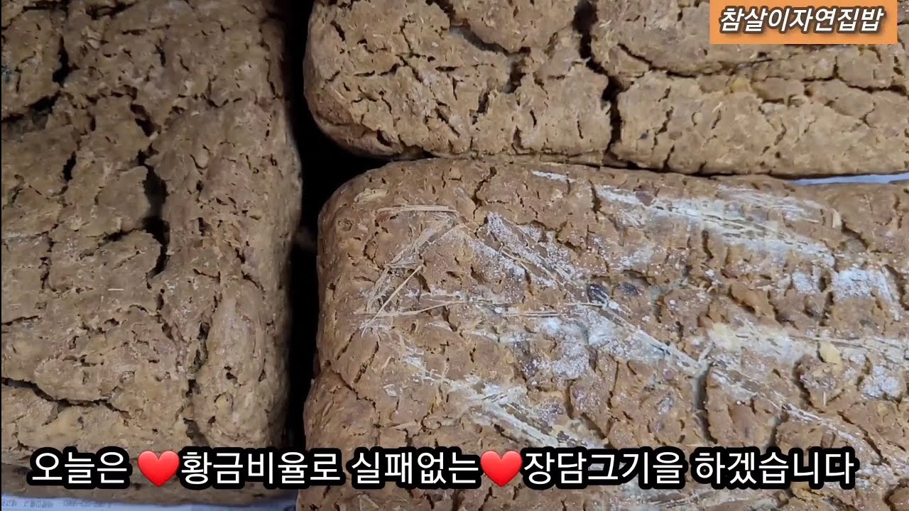 [장담그기][물과소금황금비율]짜지않은 맛있는 돤장 만들어드세요👍👍