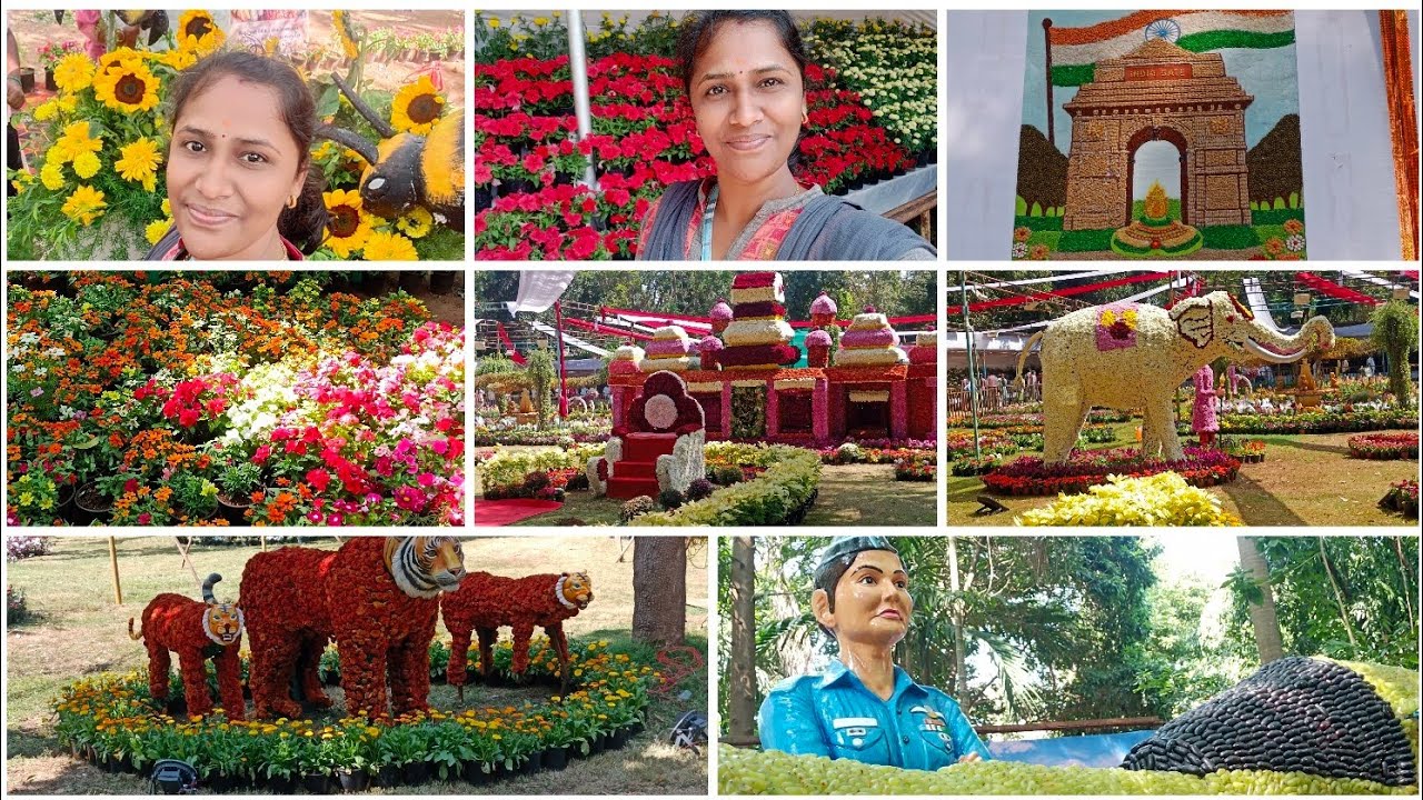 ✨Superana Flower show at Pondicherry (Jan 30,31&Feb1)/Don't Miss it 👌🪷🌷🌹