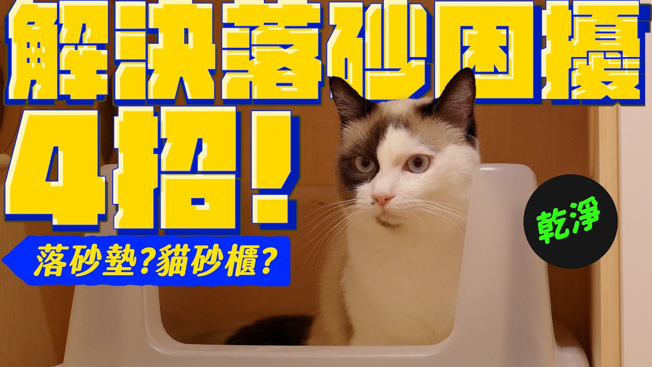 告別家中沙漠化 減少八成落砂困擾！貓砂怎麼挑？｜宇宙猫咪🐾