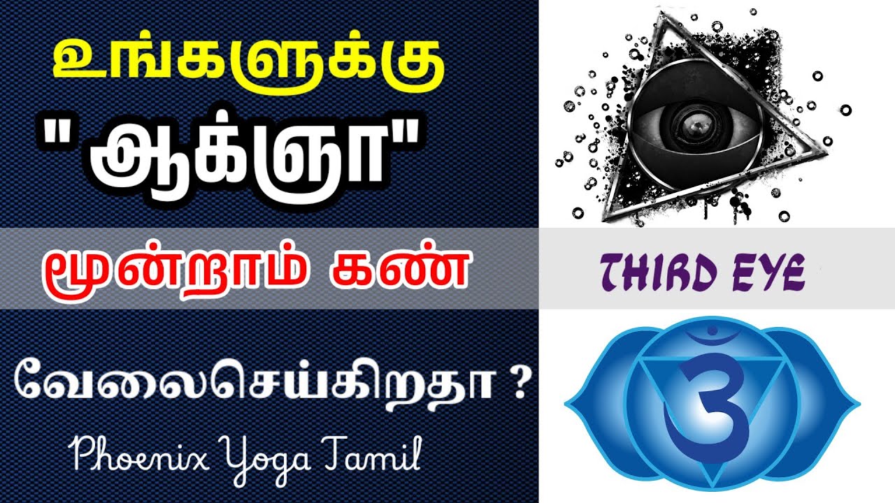 யாருக்கெல்லாம் ஆக்ஞா சக்கரம் வேலை செய்யும்? | Ajna chakra third eye | phoenix Yoga tamil