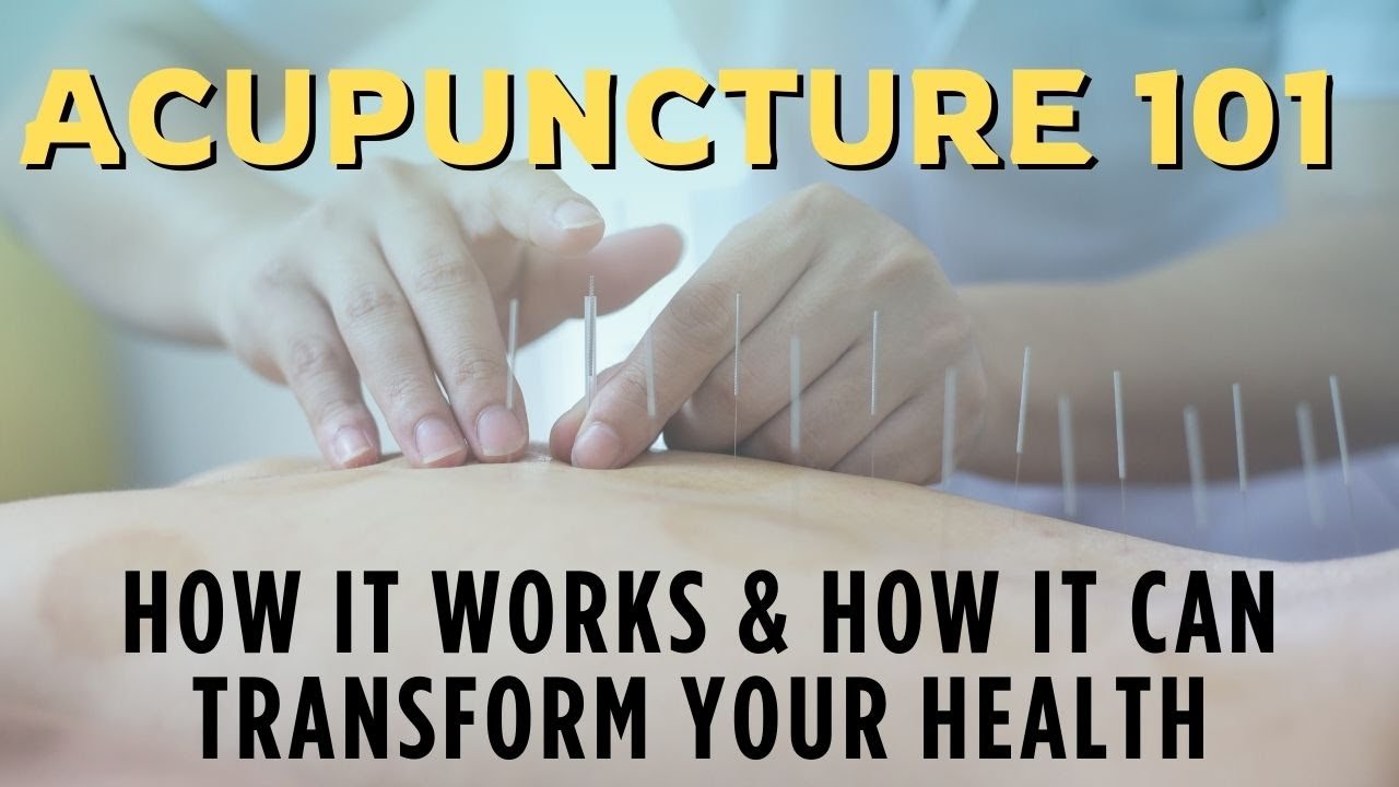 Acupuncture 101: How It Works and How It Can Transform Your Health