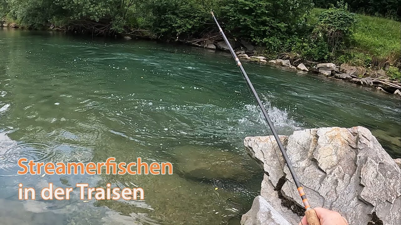 Streamerfischen in der Traisen  •  Teil 1