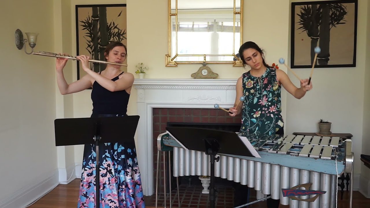 Debussy - Clair de Lune (arr. for flute and vibraphone)