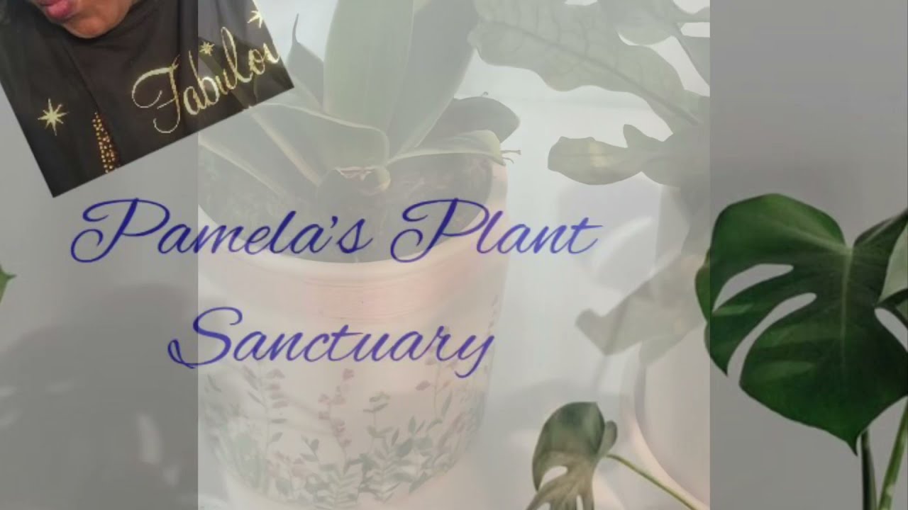 Plant Sanctuary Tour