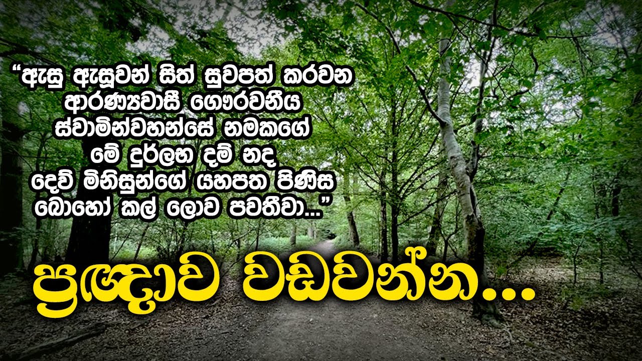 ප්‍රඥාව වඩවන්න | Samma Ditthi UK