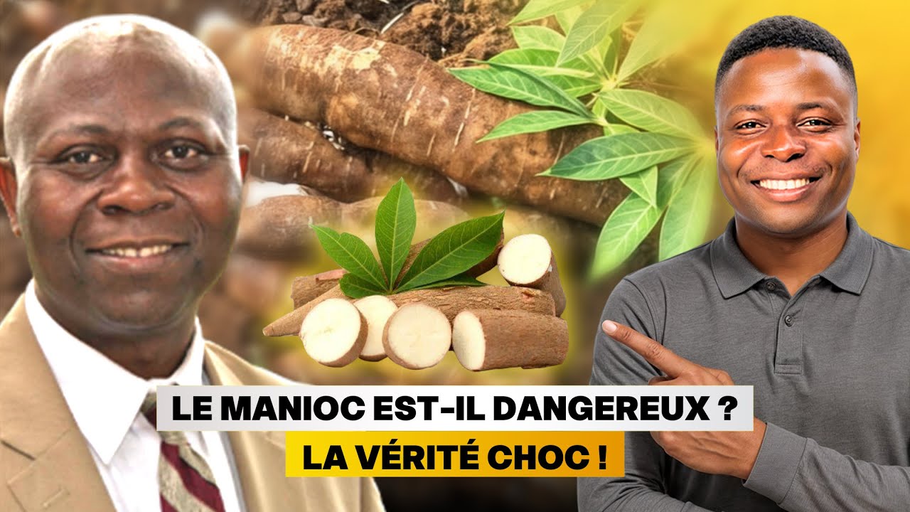Le manioc est-il dangereux ? Voici la vérité qu’on vous cache !
