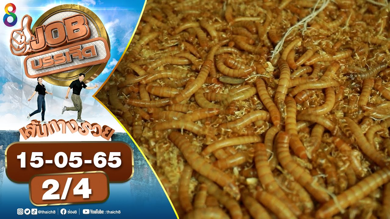 JOBบรรเจิด l 15-05-65 l [2/4]