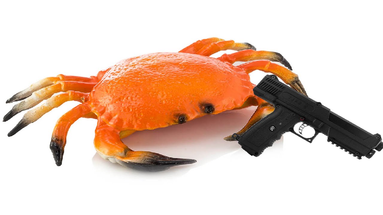We gave a Crab a Gun