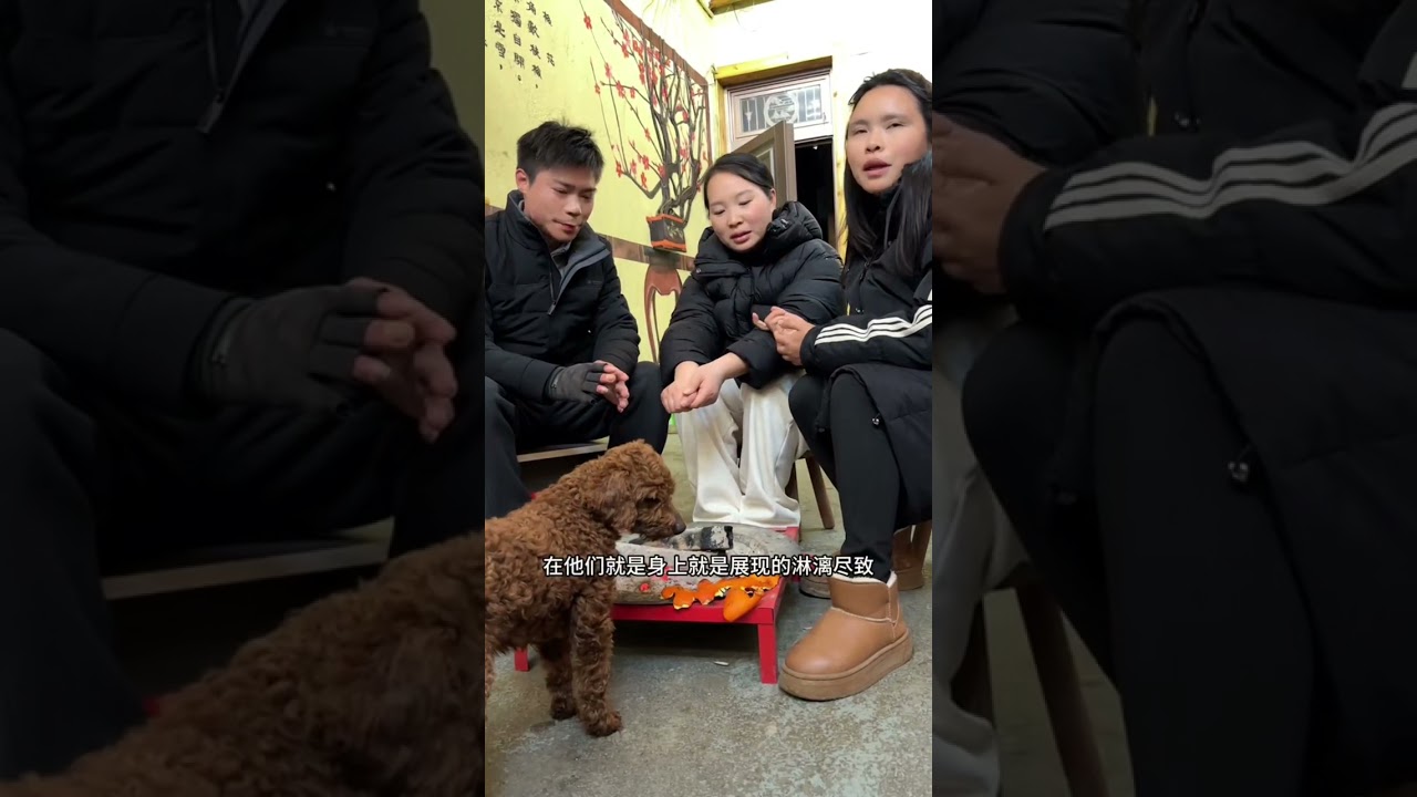 小张一家做客地球村，士别三年刮目相看，妻子的不离不弃值得称赞 #传递温暖 #记录真实生活