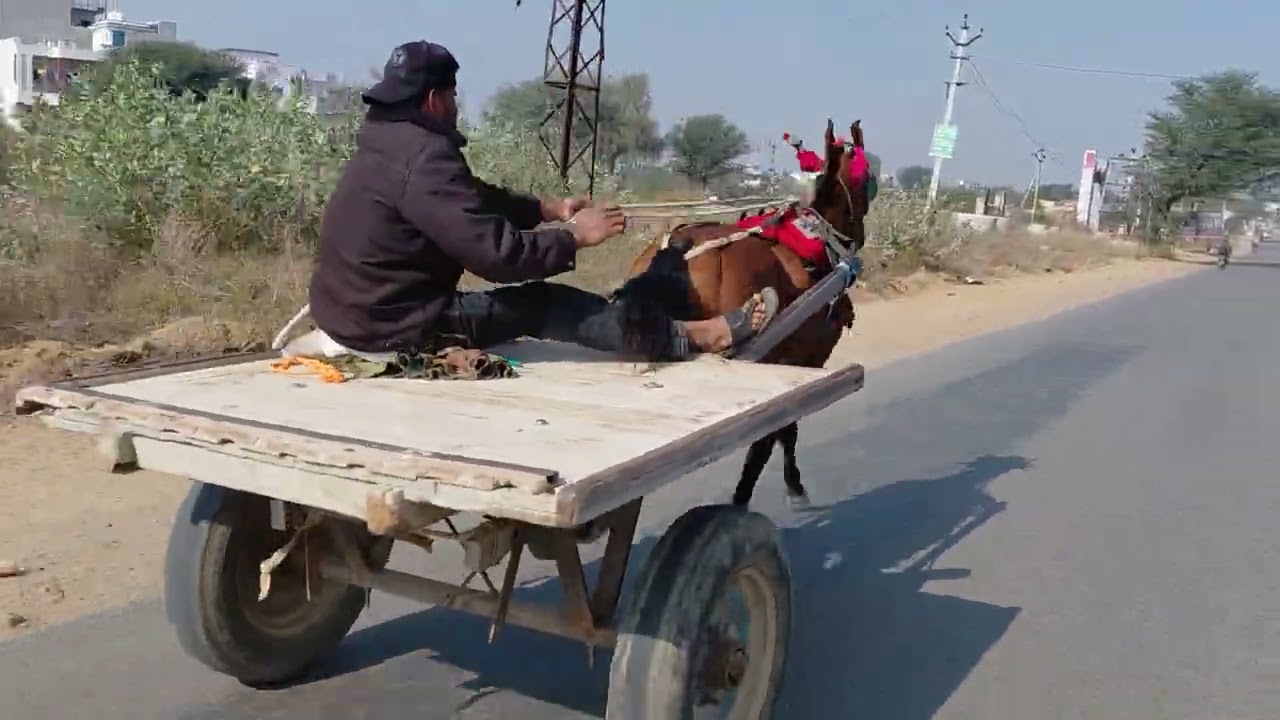 बाबू डीडवाना 