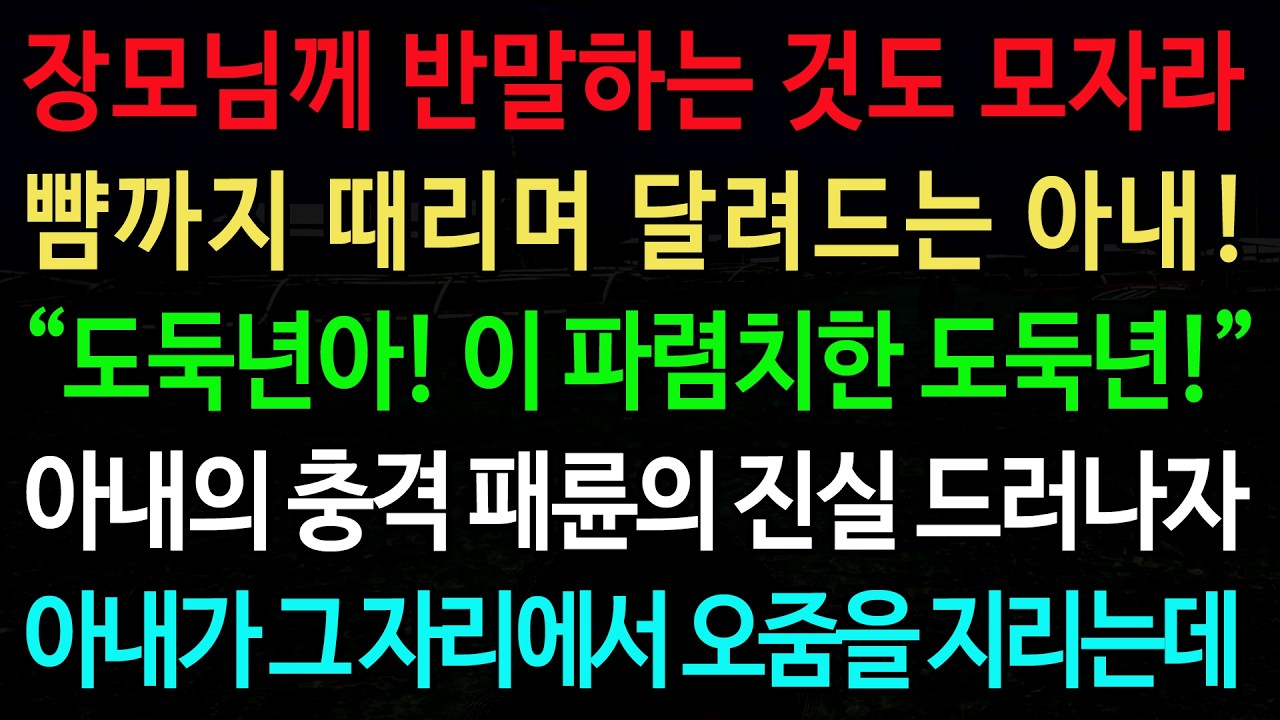 실화사연-장모님께 반말하는 것도 모자라 뺨까지 때리며 달려드는 아내! “도둑년아! 이 파렴치한 도둑년!” /실화사연/신청사연/사이다썰/반전사연/사연라디오