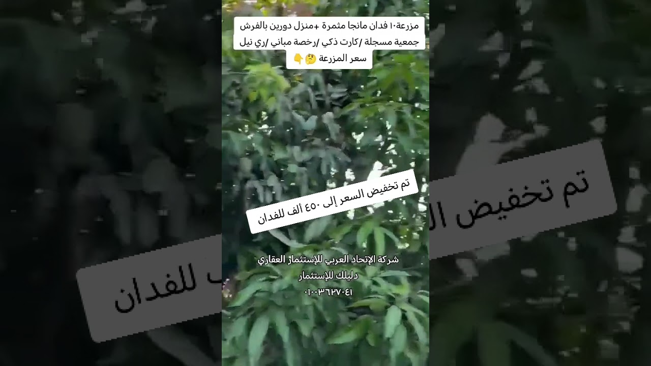 عرض مميز جدااااا ١٠ فدان مانجا مثمرة بالإضافة لمنزل دورين مفروش بالكامل سعر الفدان ٤٥٠ ألف 