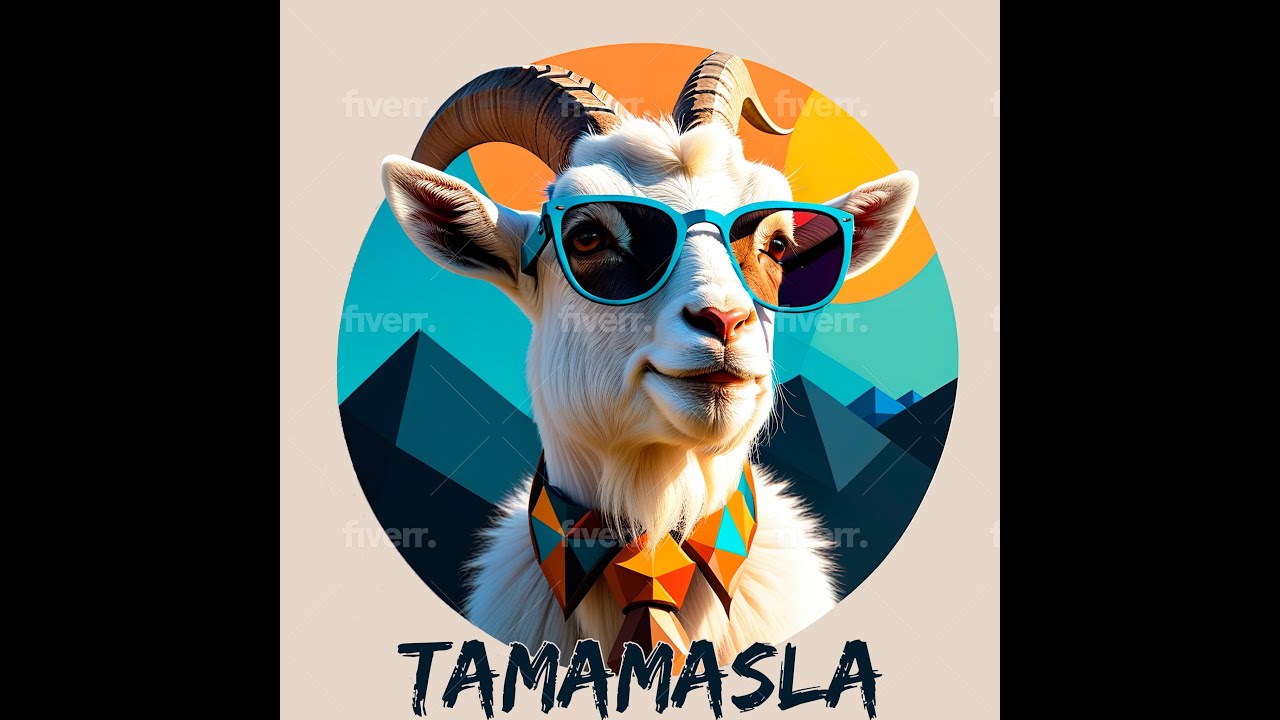 Tamamasla Live! T6 #16