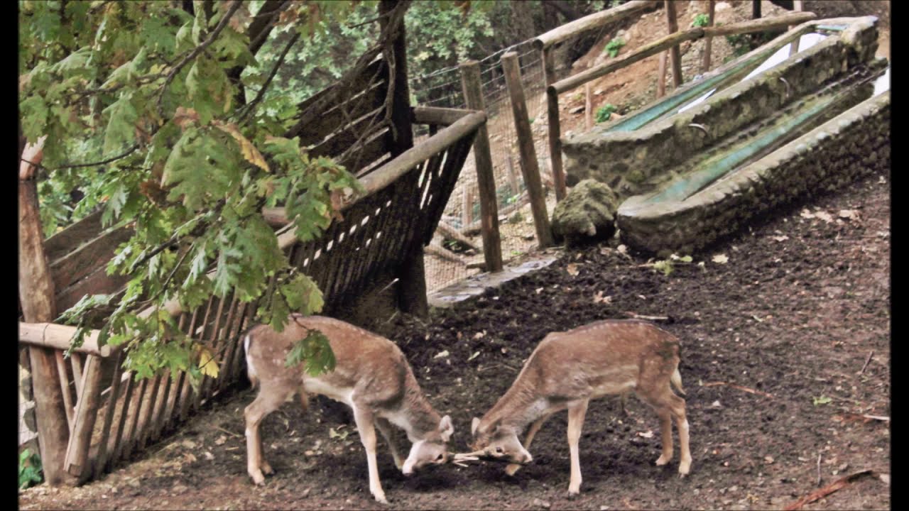 Autunno al parco delle biodiversità mediterranea - Catanzaro